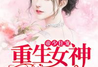 女神的超级赘婿,女神的超级守护者传奇