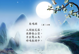 鸟鸣涧ppt,自然和谐与生命律动的诗意画卷