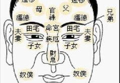 看面相算命,解读命运与性格的神秘面纱