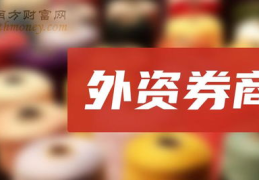 最好的证券公司,十大顶级证券公司深度解析”